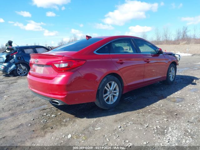5NPE24AF5HH516539 Hyundai Sonata