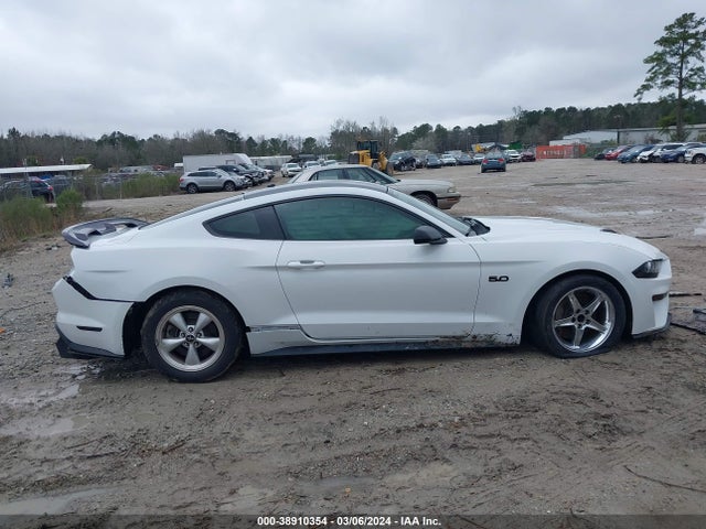 Ford MUSTANG GT 2019 1FA6P8CF4K5132534 Image 13