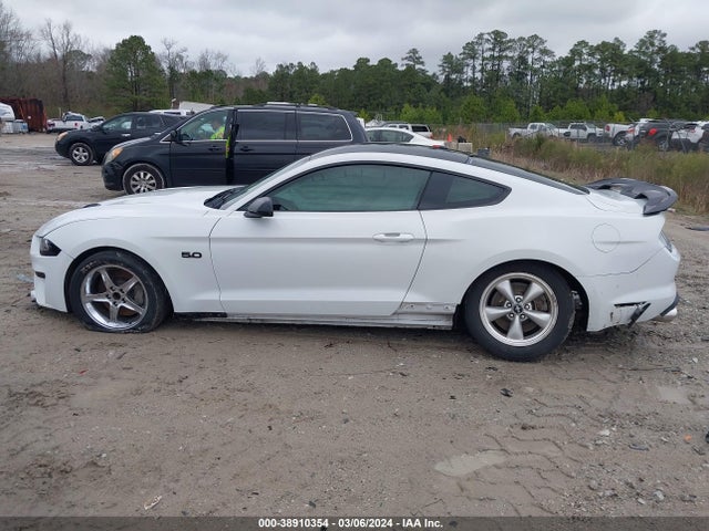 Ford MUSTANG GT 2019 1FA6P8CF4K5132534 Image 14