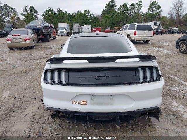 Ford MUSTANG GT 2019 1FA6P8CF4K5132534 Image 16