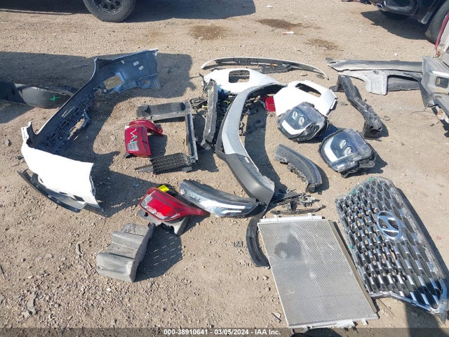 Hyundai Palisade Sel 2021 KM8R34HE5MU329969 Image 18