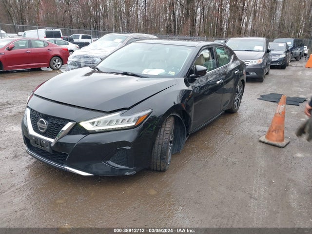 Nissan Maxima 3.5 Sv 2019 1N4AA6AV8KC385006 Image 2
