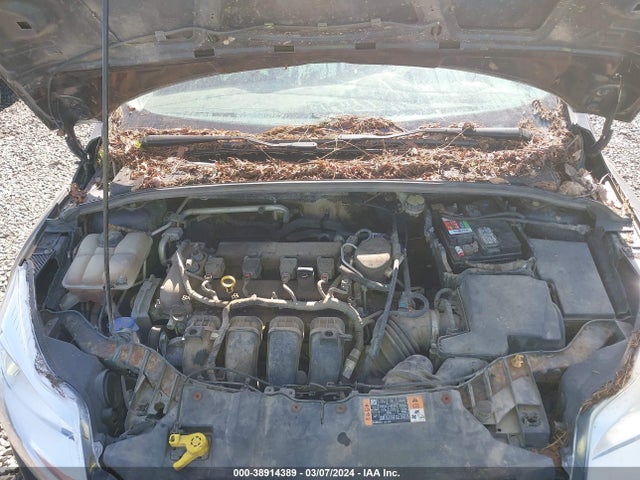 Ford FOCUS SE 2014 1FADP3K25EL455869 Image 10