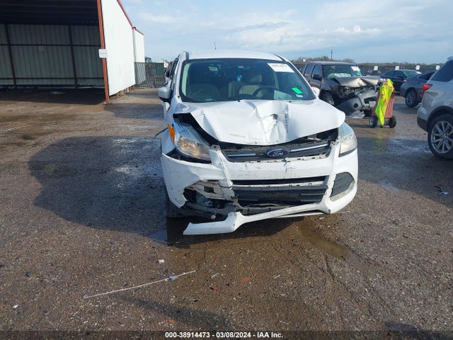 Ford ESCAPE SE 2016 1FMCU0G72GUC26057 Image 6