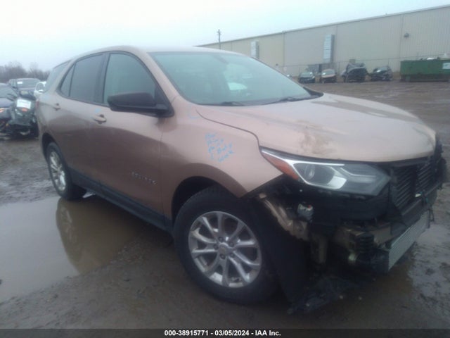Chevrolet EQUINOX LS 2018 3GNAXHEVXJL173376 main image