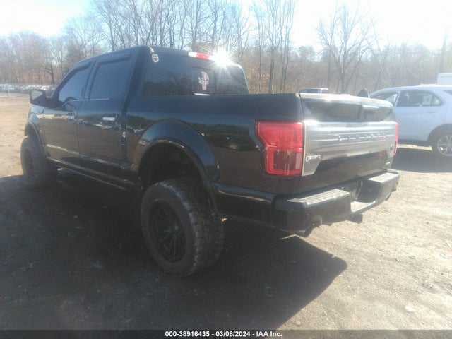 Ford F-150 Limited 2019 1FTEW1EG6KFC43036 Image 3