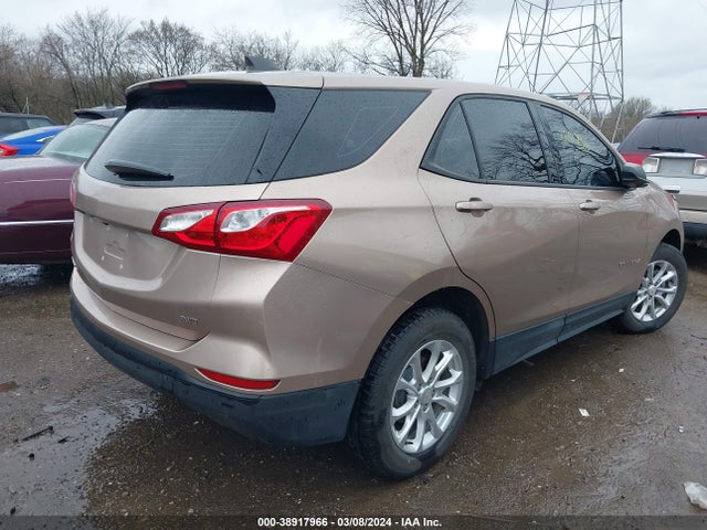 Chevrolet EQUINOX LS 2019 2GNAXSEV3K6160360 Image 4
