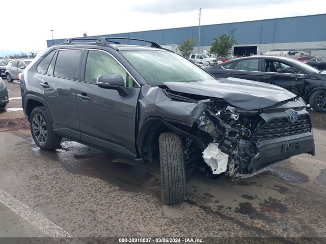 Toyota Rav4 Xle Premium Hybrid 2024 JTMB6RFV8RD551085 Image 1