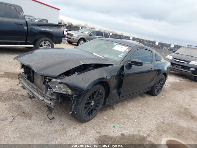 Ford Mustang V6 2014 1ZVBP8AM3E5301535 Image 2