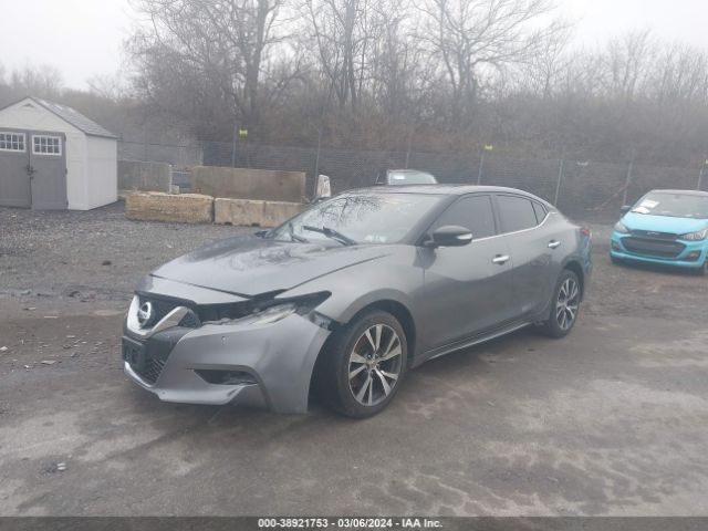 1N4AA6AP1HC424528 Nissan Maxima 3.5 Sv