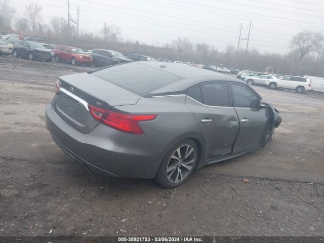 1N4AA6AP1HC424528 Nissan Maxima 3.5 Sv
