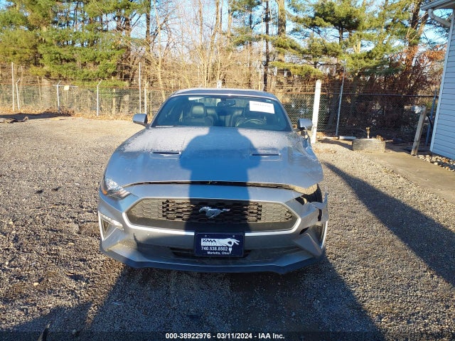 Ford Mustang Ecoboost Premium Fastback 2020 1FA6P8TH5L5143335 Image 13