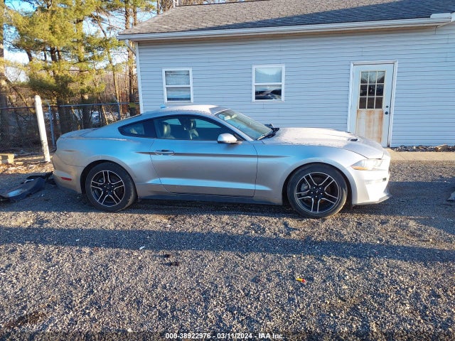 Ford Mustang Ecoboost Premium Fastback 2020 1FA6P8TH5L5143335 Image 14
