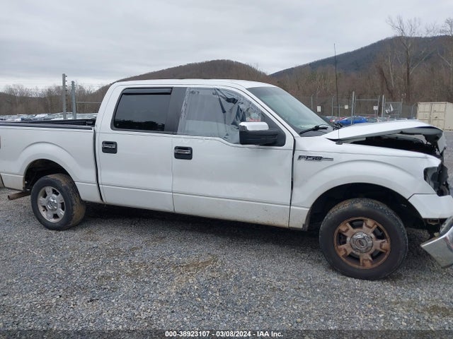 Ford F-150 Xlt 2014 1FTFW1CF3EFA85175 Image 13