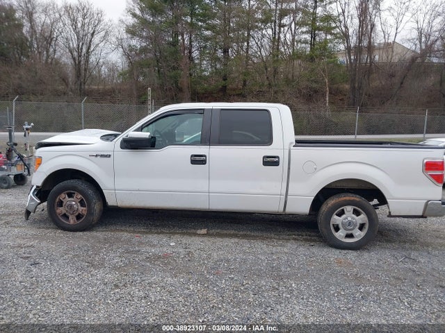 Ford F-150 Xlt 2014 1FTFW1CF3EFA85175 Image 14