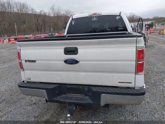 Ford F-150 Xlt 2014 1FTFW1CF3EFA85175 Image 16