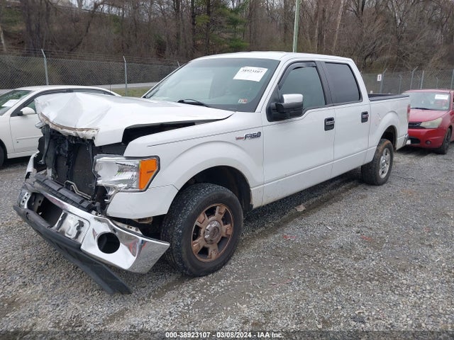 Ford F-150 Xlt 2014 1FTFW1CF3EFA85175 Image 2