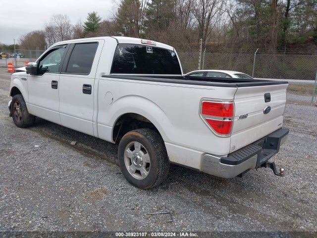 Ford F-150 Xlt 2014 1FTFW1CF3EFA85175 Image 3