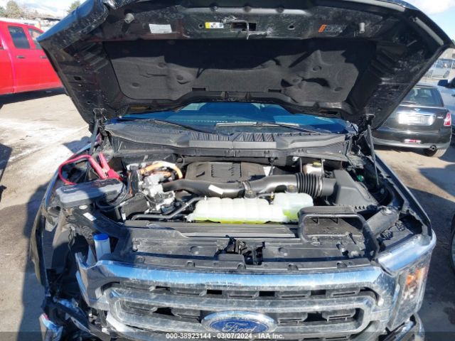 1FTFW1ED9MFC32240 Ford F-150 Xlt