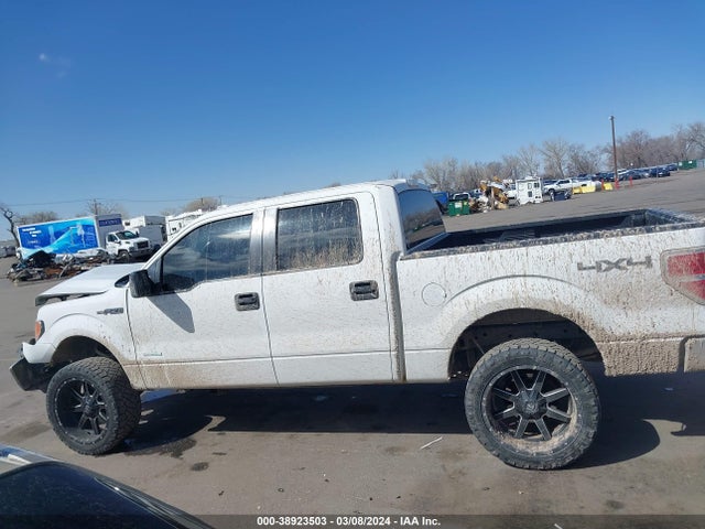 Ford F-150 Xlt 2014 1FTFW1ET2EFB50889 Image 14
