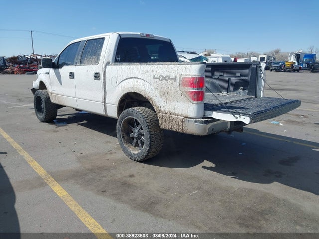 Ford F-150 Xlt 2014 1FTFW1ET2EFB50889 Image 3