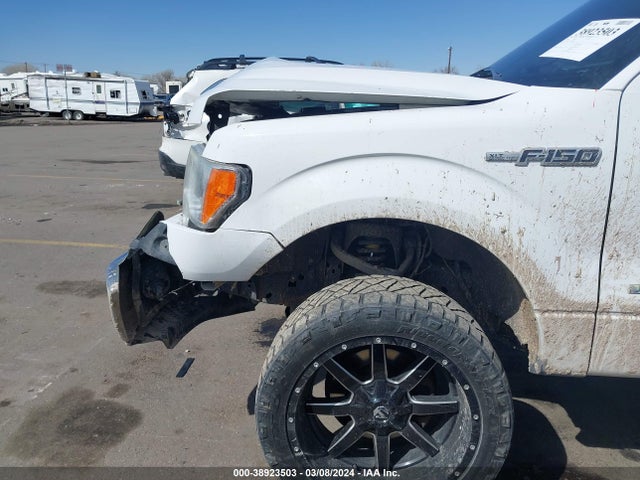 Ford F-150 Xlt 2014 1FTFW1ET2EFB50889 Image 6