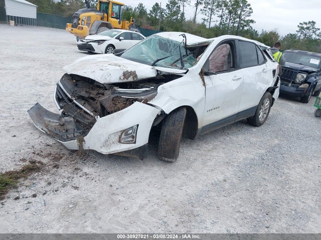 Chevrolet EQUINOX LS 2019 2GNAXHEV3K6170695 Image 2