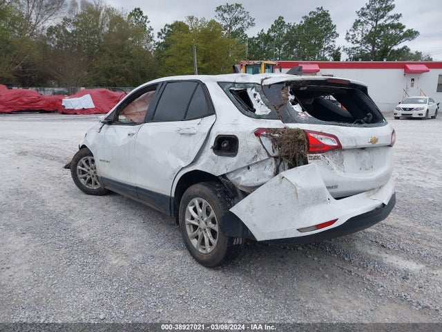 Chevrolet EQUINOX LS 2019 2GNAXHEV3K6170695 Image 3