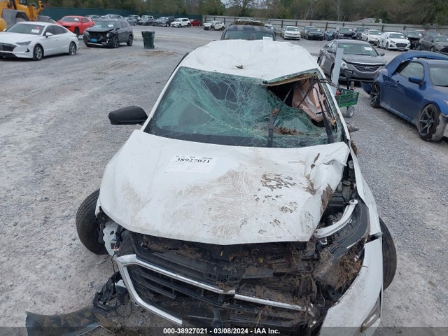 Chevrolet EQUINOX LS 2019 2GNAXHEV3K6170695 Image 6