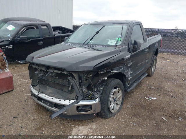 Ford F-150 Xlt 2016 1FTMF1CP4GKG05605 Image 2