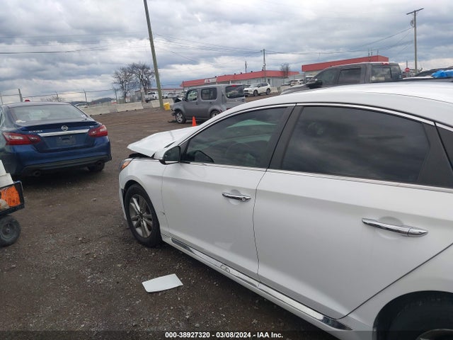 Hyundai Sonata Sport 2017 5NPE34AF9HH538511 Image 14