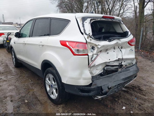 Ford ESCAPE SE 2015 1FMCU9GX6FUA38855 Image 3