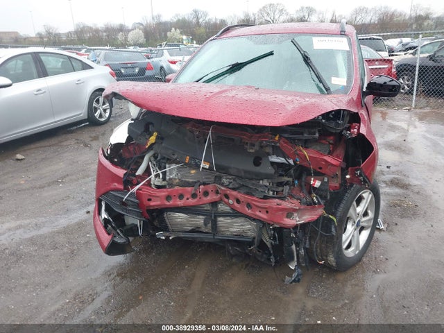 Ford ESCAPE SE 2016 1FMCU0GX8GUB06232 Image 6
