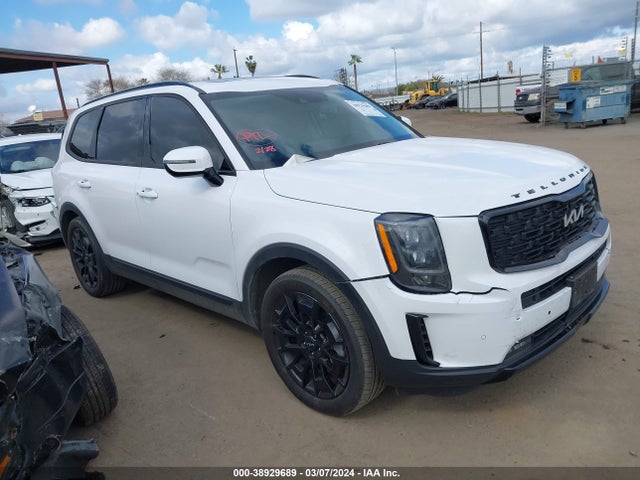 KIA Telluride Sx 2022 5XYP5DHC1NG245249 Image 1