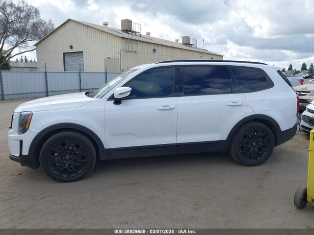 KIA Telluride Sx 2022 5XYP5DHC1NG245249 Image 14