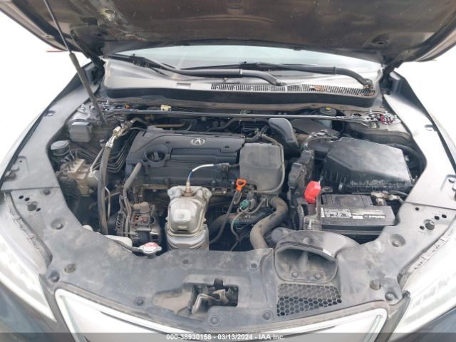19UUB1F39FA015393 Acura TLX