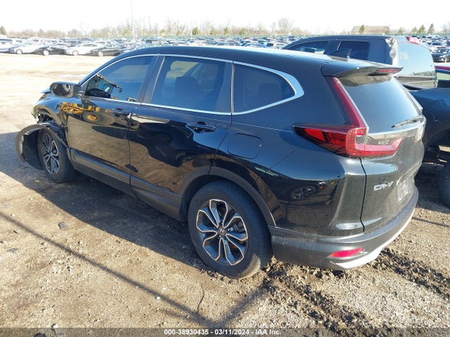 Honda Cr-v Awd Ex-l 2020 5J6RW2H8XLL045052 Image 3
