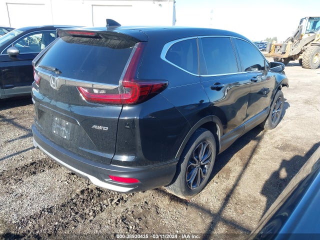 Honda Cr-v Awd Ex-l 2020 5J6RW2H8XLL045052 Image 4
