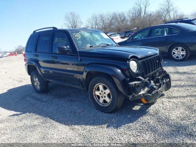 Auction sale of the 2003 Jeep Liberty Limited Edition, vin: 1J4GL58K73W503335, lot number: 38933172