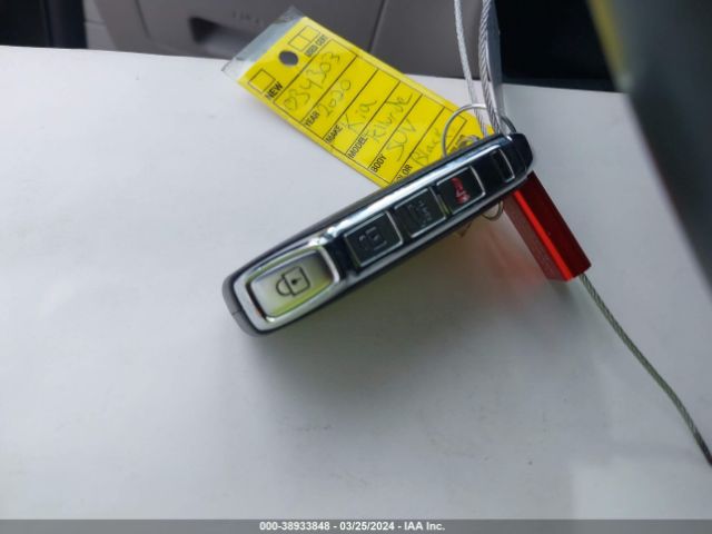 5XYP3DHC7LG034303 KIA Telluride Ex