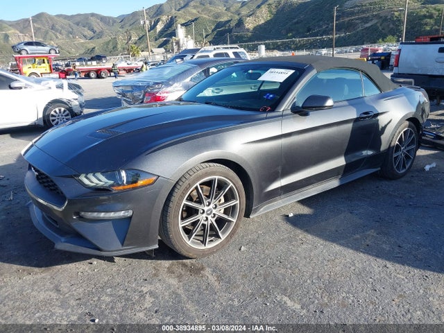 Ford Mustang Ecoboost 2019 1FATP8UH3K5158996 Image 2