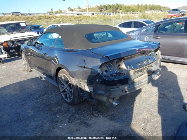 Ford Mustang Ecoboost 2019 1FATP8UH3K5158996 Image 3