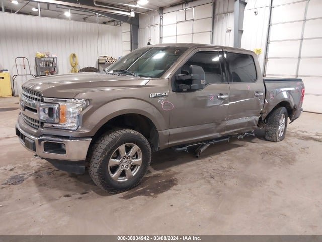 Ford F-150 Xlt 2019 1FTEW1E4XKKE64698 Image 2