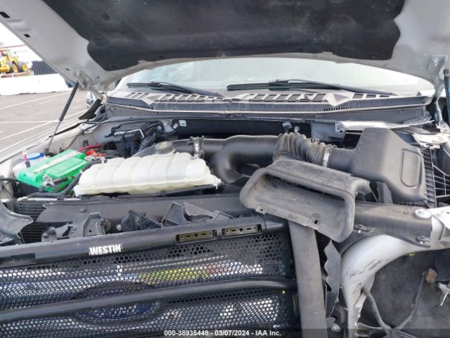 1FTEW1E43KKE52313 Ford F-150 Xlt