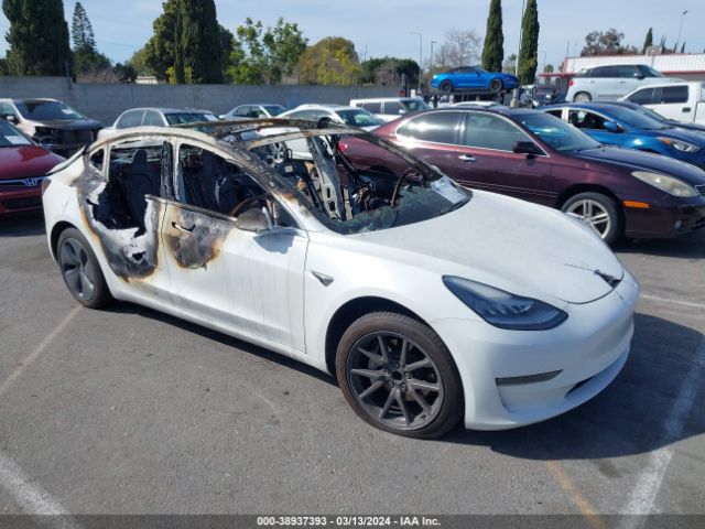 Auction sale of the 2020 Tesla Model 3 Standard Range Plus Rear-wheel Drive/standard Range Rear-wheel Drive, vin: 5YJ3E1EA3LF660335, lot number: 38937393