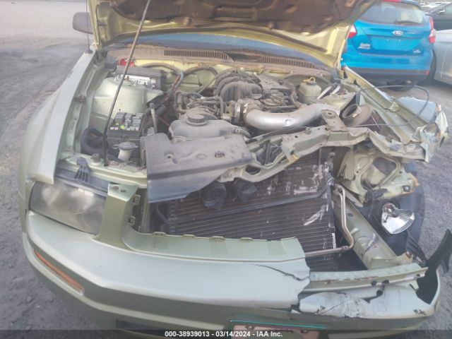 2005 FORD MUSTANG 1ZVFT80N555205042 Photo 9