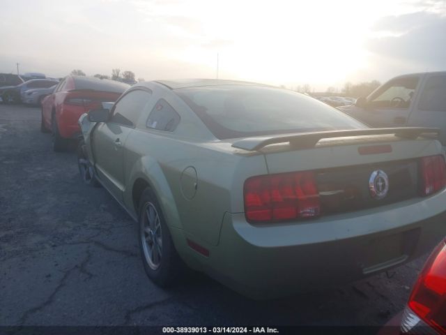 2005 FORD MUSTANG 1ZVFT80N555205042 Photo 2
