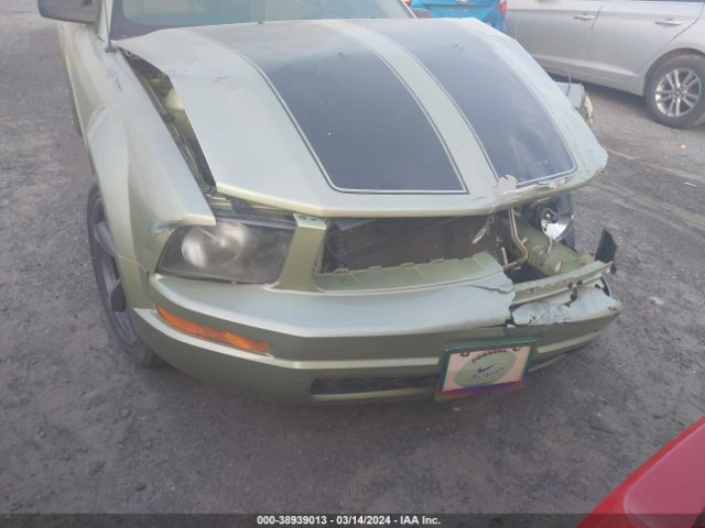 2005 FORD MUSTANG 1ZVFT80N555205042 Photo 5