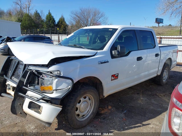 Ford F-150 Xl 2019 1FTEW1E53KKC76243 Image 2