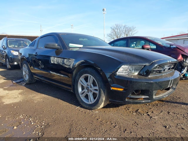 2014 1ZVBP8AM8E5283677 main image